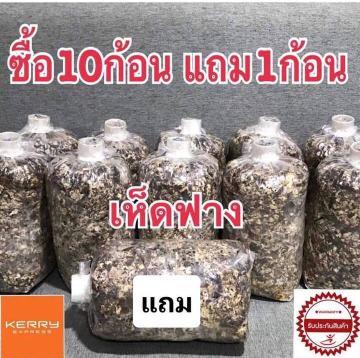 เชื้อเห็ดฟางพร้อมเพาะ ออกดอกภายใน 5 วัน พร้อมคู่มือ