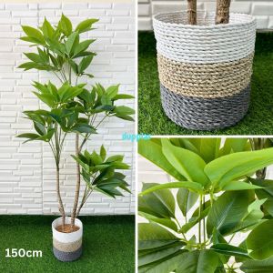 Pohon Hias Tanaman Artificial Daun Manggis T150 & T170 Latex Cover Pot Anyaman Seagrass Hiasan Rumah Pajangan Aesthetic