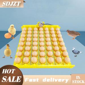 SDJZT 8 22 36 lỗ tự động lồng ấp trứng khay gà trứng lồng ấp chủ cho vịt gia cầm ngỗng chim phụ tùng thay thế