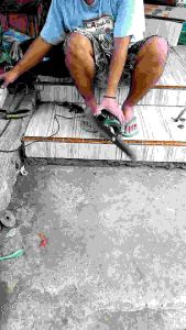 Pisau Pencacah Ukuran 40 cm Tinggal Pasang Mesin Sanyo
