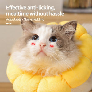 JMY-Sunflower Anti-Lick and Anti-Scratch Elizabethan CollarJMY-Sunflower Anti-Lick and Anti-Scratch Elizabethan Collar