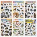 Poster Anak - Poster Edukasi Anak Lembaran – Herbivora / Carnivora / Omnivora / Reptiles / Insectivora / Unggas /Pustaka Baru. 