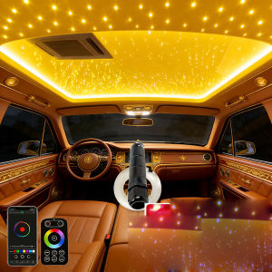 RGBW Car RooM Star Lights LED Optic star ceiling Light kits Optical fiber with RF control Mobile fashion app fiber lamp SMALL 6W