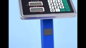 Professional Commercial Electronic Timbangan Market Stalls 180KG Luminous Accurate Weighing Scales