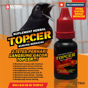 topcer vitamin burung murai batu langsung gacor