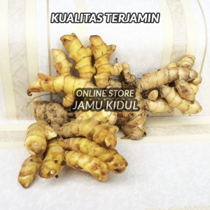 TEMU MANGGA Segar 500gr  (CURCUMA MANGGA) - Harga Grosir