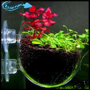 【dipao】 UNIKI Fish Tank Mini Glass Pot Water Potted Aquatic Planting Cylinder Cup