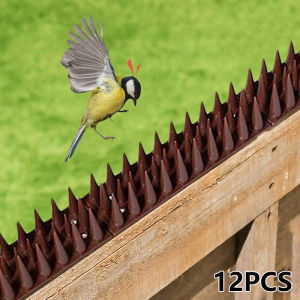 Security Protection Intruder 12pcs SK488 Repellent Practical Deterrent Anti-theft Fencing Garden Fence Wall Spikes Cat Anti Bird Thorn