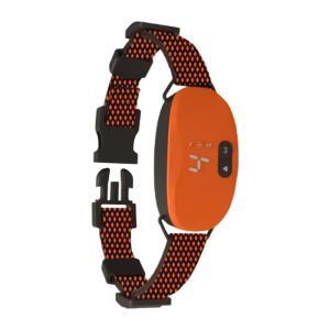 HamshMoc Electric Dog Collar Smart Anti-Bark Waterproof Pet Collar Adjustable Automatic Stop Barking For Small Medium Large Dogs Training