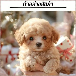 สัตว์เลี้ยงจำลอง ไฟฟ้า ตุ๊กตากระต่าย รีโมทคอนโทรล สามารถเดินได้ ของเล่นคู่ใจ จะทำให้มีเสียง