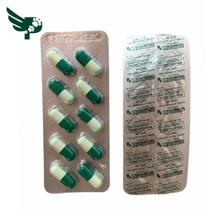 NF-One Capsule - sold per 10 capsules - Excellence - petpoultryph ...