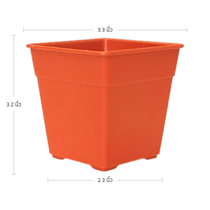 กระถาง กระถางสี่เหลี่ยม ขนาด 3 3.3 4 นิ้ว สีดำ สีขาว สีอิฐ Bundle 10 ใบ ชิ้น อัน