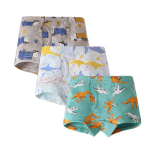 Kids Paradise 3 Pcs Boxer Underwear Cotton Dinosaur Pattern Cartoon Design Brief for Boys Ages 2-13 Years Old