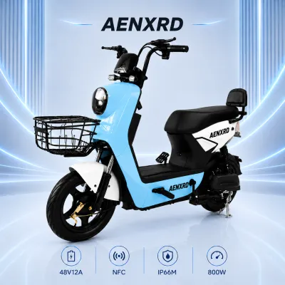 Q8 Electric Bicycle NFC Card 800W 48V 12AH Adult E Bike 2025 Version Long Range with 4 Batteries Free Rearview Mirror Remote Control