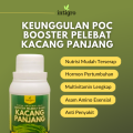 Pupuk Khusus Untuk  Pelebat Buah Tanaman Kacang Panjang / Pupuk Booster Cair Penyubur Kacang Panjang. 