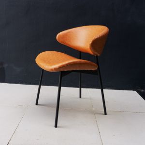 Luz Chair / Retro Dining Chair / Modern Make Up Chair - FRM0252