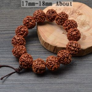 Natural Five Petaled Nepal Rudraksha Bracelet 17mm-18mm about/天然五瓣尼泊尔金刚菩提