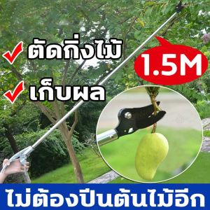 กรรไกรตัดกิ่ง กรรไกรตัดหนีบผลไม้ด้ามยาว มีการรับประกัน การเก็บผลไม้ การตัดที่เร็ว กรรไกรตัดผลไม้ กรรไกรตัดกิ่งไม้
