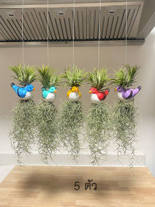 โมบายนกใส่เคราฤาษี ตุ็กตาเซรามิกรูปสัตว์คละสี สำหรับตกแต่งสวน มอสสเปน ไม้ฟอกอากาศกรองฝุ่น ม่านบังแดด Spanish Moss