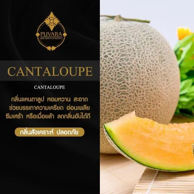 Puvara ไม้หอมปรับอากาศ