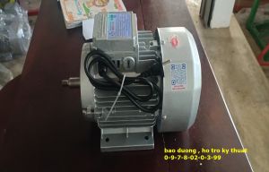 Động cơ điện toàn phát 2 ngựa  trục 16mm  tốc nhanh 2900v/p
