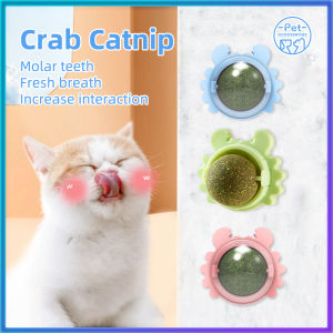 Catnip mint ball cat snack treats toy ball