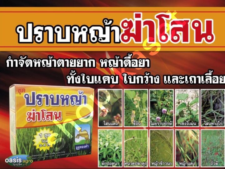 ปราบหญ้า ฆ่าโสน ยากำจัดหญ้าในนาข้าว