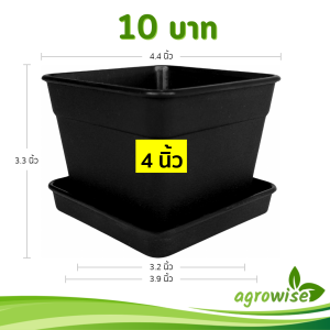 กระถางแคคตัส กระถางสี่เหลี่ยม พร้อมจานรอง 4 4.4 นิ้ว สีดำ Bundle 12 ใบ ชิ้น อัน