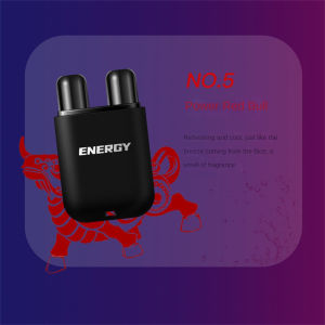 Erya Shop Mint/Blackcurrant Liver Cleaning Nasal Herbal Box Nasal Inhaler Stick for Essential Oils Natural Essential Oils Inhalers Lung Cleans Stick Refreshing Stick Sleepy Driving Cool