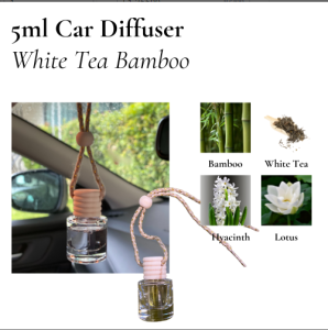 🇸🇬 Elegant Aroma Stone Diffuser Volcano Home Fragrance Toilet Freshener Bathroom Scent Aromatheraphy