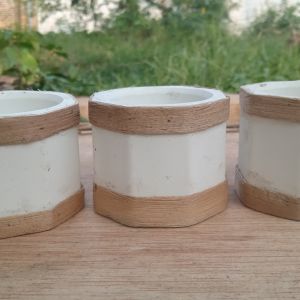 Pot mini kaktus sukulen concrete lapis eceng gondok ikat