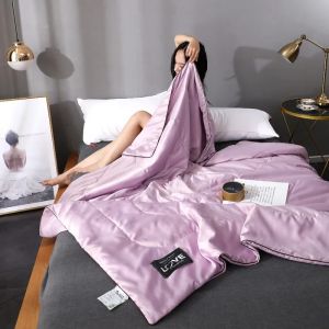 Delicate Emulation Silk Queen Size Quilted Quilt for Spring and Summer Luxury Satin Quilts with Soft and Washable Features