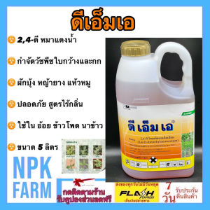 Zagro ดีเอ็มเอ 24ดี ขนาด 5 ลิตร กำจัดหญ้าใบกว้าง ผักบุ้ง เครือ เถา ผักปอดนา เทียนนา โสนหางไก่ ผักบุ้ง กก แห้วหมู ในอ้อย ข้าว ข้าวโพด ชนิดดูดซึม