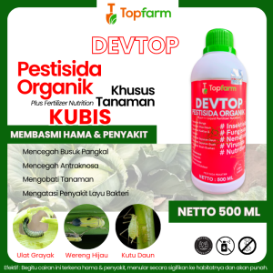Obat Ulat Pada Kubis / Obat Hama Ulat Kubis / Insektisida Untuk Kubis / Insektisida Ulat Kubis / Obat Ulat Tanaman Kubis Kol / Obat Ulat Pada Tanaman Kubis / Obat Ulat Tanaman Kubis / Obat Kubis