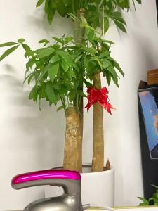 Handheld Steam Iron Portable Steamer Iron Box Iron Steamer Clothes Travel Iron Portable Steamer Iron Wet and Dry Handheld Pressing Machine Visual Water Tank 蒸汽熨斗 熨衣服