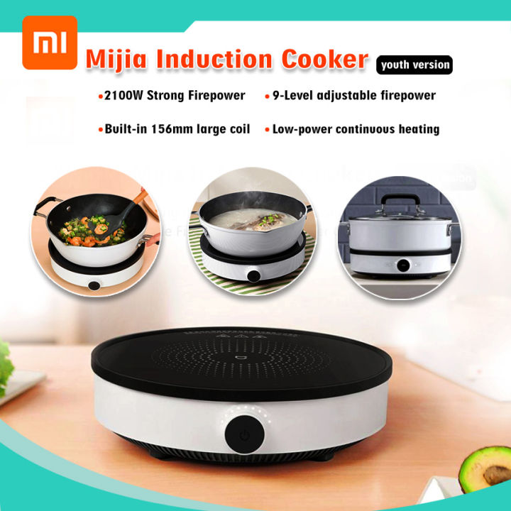 Induction cooker online low watt