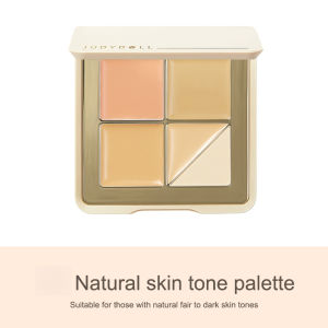 Concealer Palette Covering Blemishes Highlighting Concealing Scars Eye Circles 5 Colours