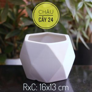 Chậu Sứ Trồng Cây Cảnh mini Cây hoa kiểng Cây Bonsai Cây sứ thái Hình Đa Giác Lớn