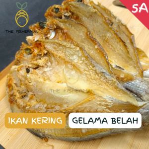 Ikan Masin Gelama Belah Tawar 5A (250G/500G/1KG) - The Fisherman