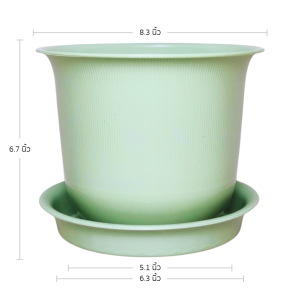 กระถาง กระถางต้นไม้ มินิมอล ถ้วยจีน+จาน ขนาด 8 นิ้ว สีเขียวพาสเทล 10 ใบ ชิ้น อัน