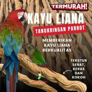 TANGKRINGAN KAYU KOPI DAN LIANA JEPIT TEMPEL KANDANG BURUNG PARROT IGUANA