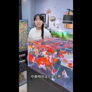 Ready Aquarium water Ph balance water purification tablets→sterilization + dechlorination + water purification