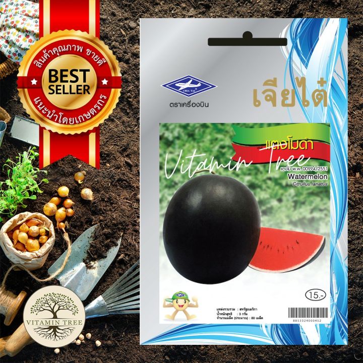 เมล็ดพันธุ์แตงโมดำ 2 กรัม