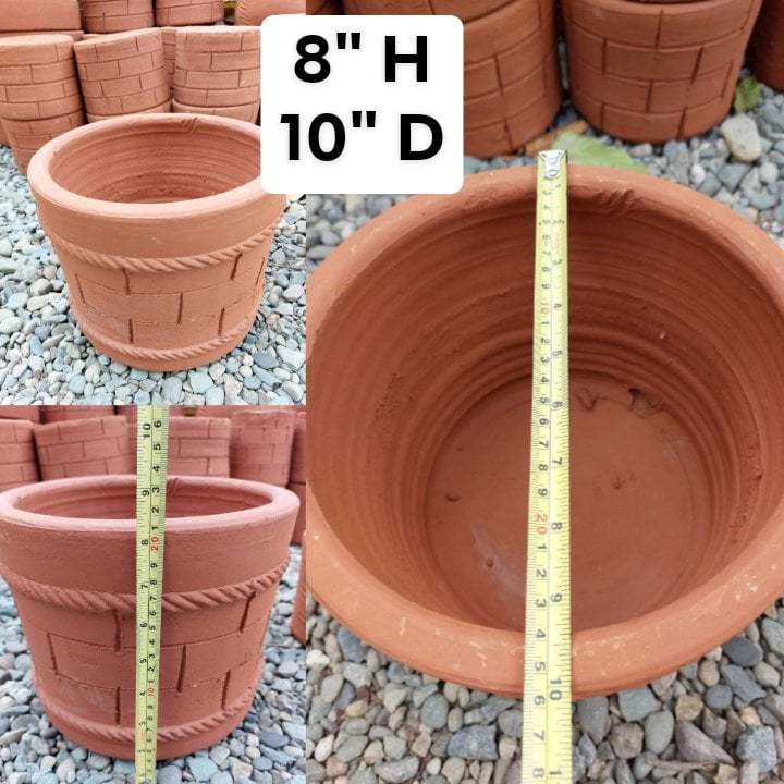 clear orchid plant pots Clear Orchid Cone Pot, 5 Pack
