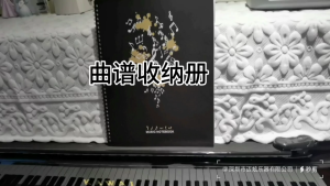 Sheet Music Folder 20 Sleeves Display 40 Pages Spirals Binder Organizer Music Binder for Music Stand Easy to Use