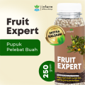 Infarm Fruit Expert Asupan Nutrisi Perangsang Buah. 