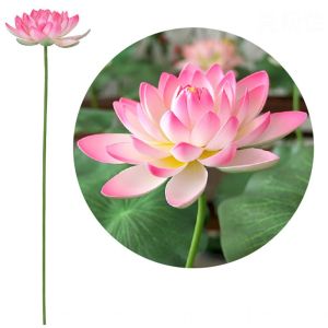 SIRENXI NGHỆ THUẬT Hoa nhân tạo phong cảnh Trang trí tự làm Thân dài Lá Sen Đạo cụ biểu diễn lễ hội Đạo cụ Hoa giả trang trí Trang trí đám cưới