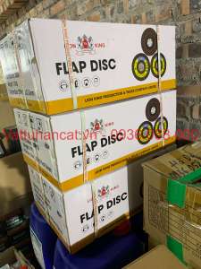 10 viên đá mài ráp xếp phi 100 A60 Liongking