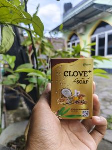 Sabun Gatal Selangkangan Paling Ampuh Clove Plus Soap BPOM 90gr