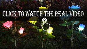 Abenkle Solar Rose Light Waterproof Solar Outdoor Garden Lights with 3 Bigger Rose Flowers Decorative Landscape Lighting for PathwayGardenPatioYardLawnWalkway